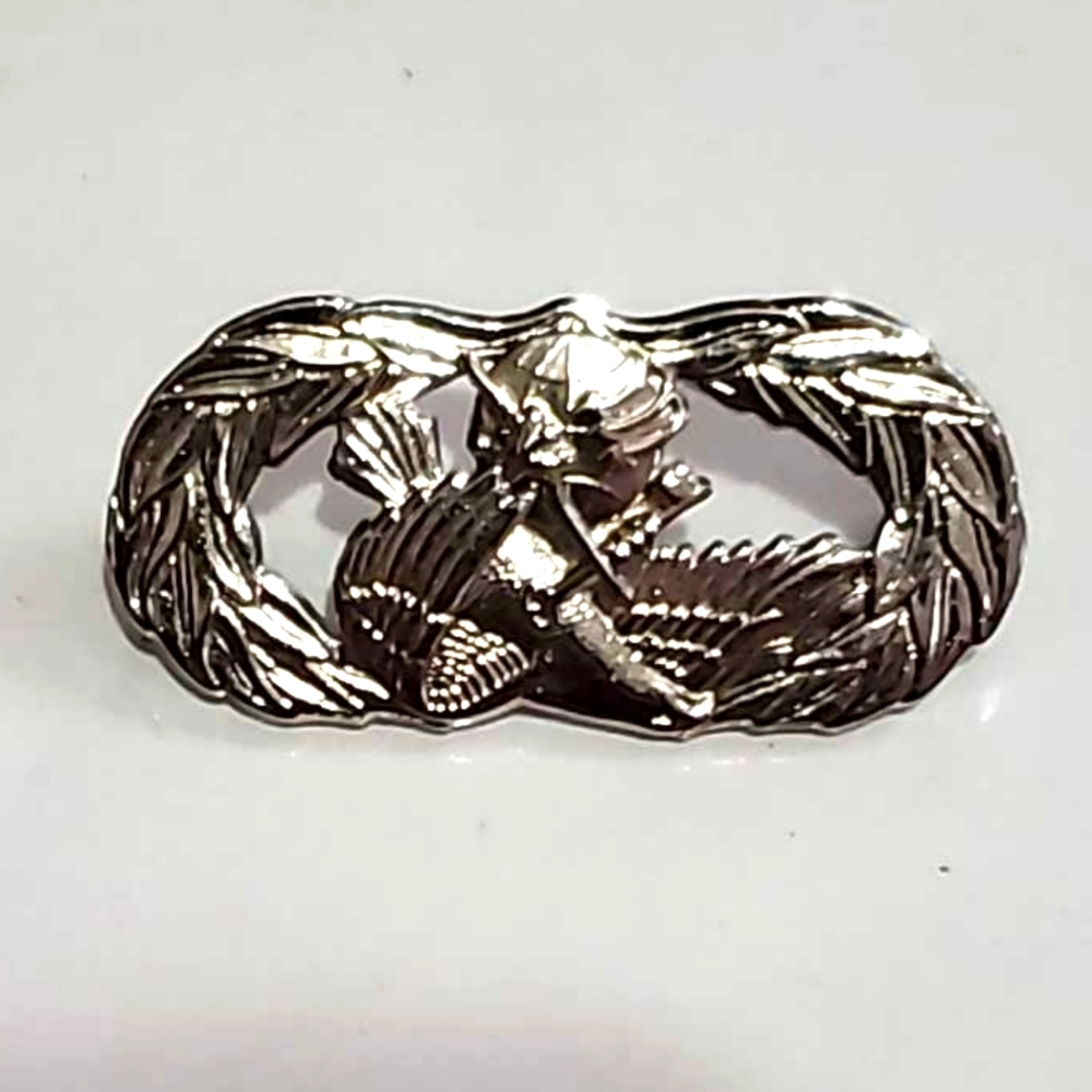 Vanguard Air Force Eagle Badge Mirror Finish Military Collectable